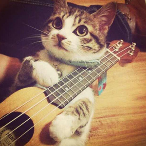 小正太初精洗脑改造过程
