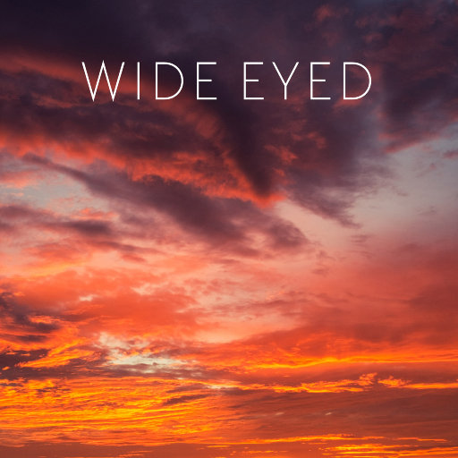 小正太初精洗脑改造过程
